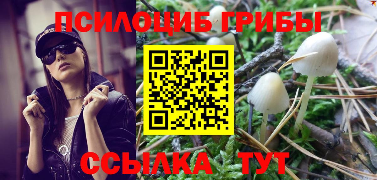 Галлюциногенные грибы Cubensis  Вход с VPN  Псилоцибиновые грибы мухоморы  Борисоглебск 